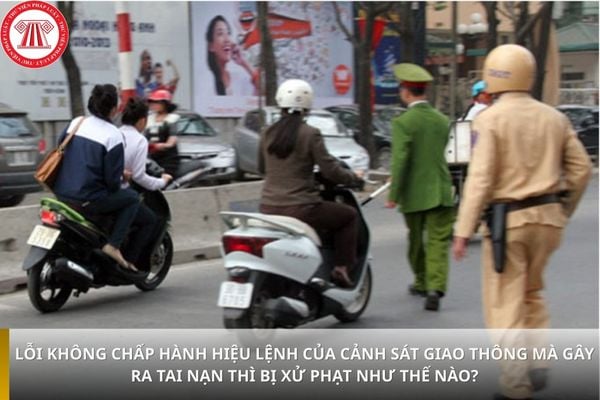 Pháp luật