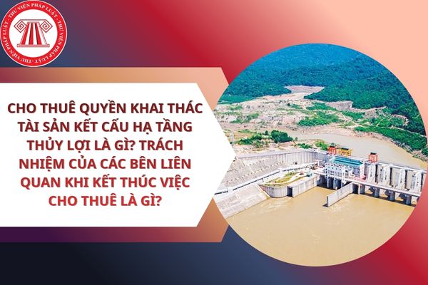 Pháp luật