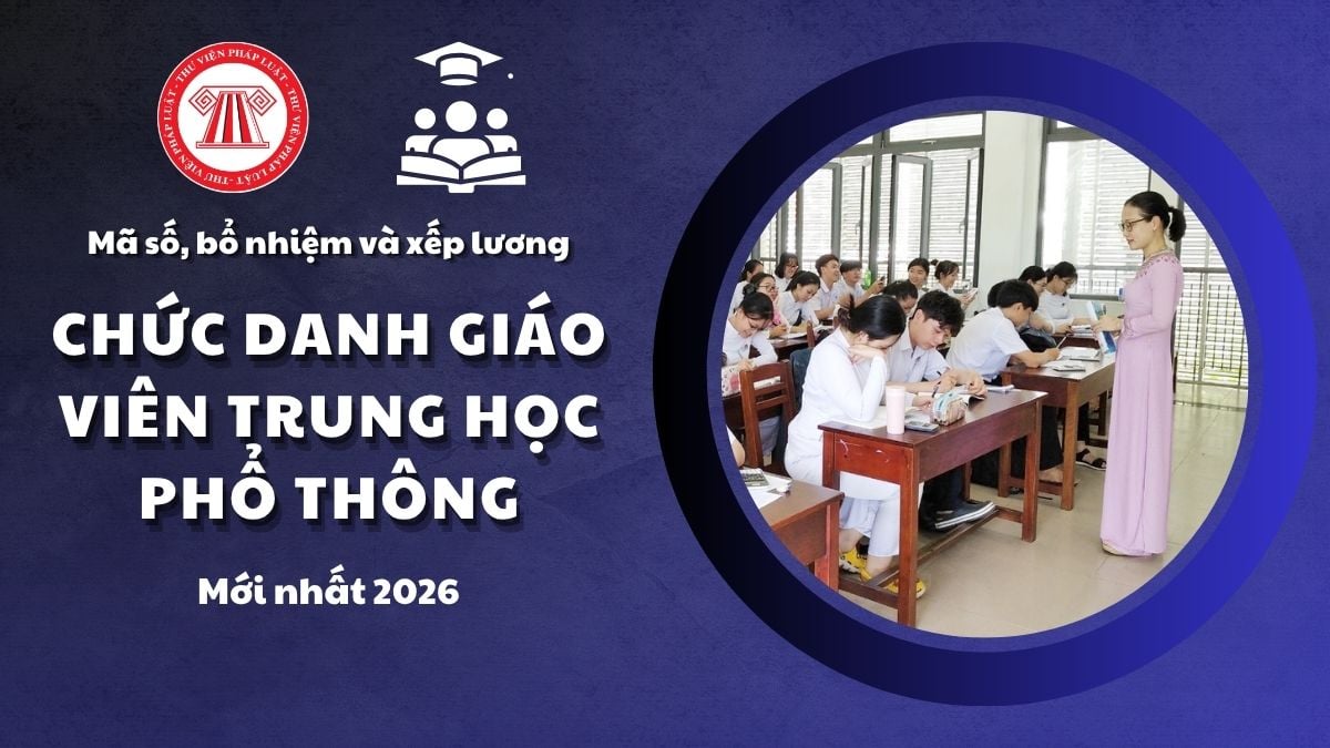 Pháp luật