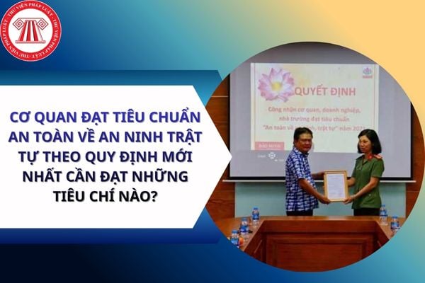 Pháp luật
