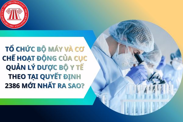 Pháp luật