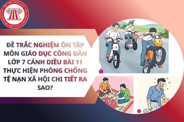 Pháp luật