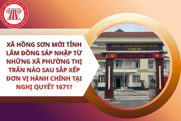 Pháp luật