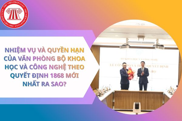 Pháp luật