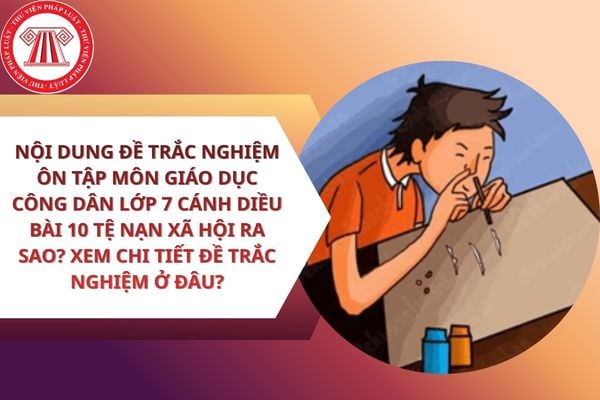 Pháp luật