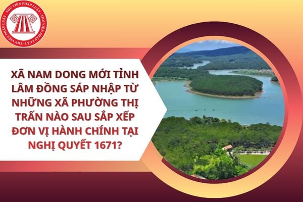 Pháp luật