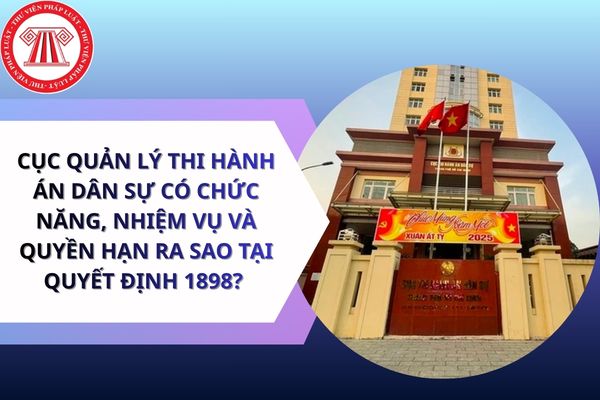 Pháp luật