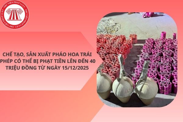 Pháp luật