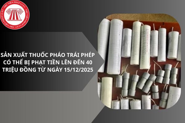 Pháp luật