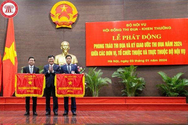 Pháp luật