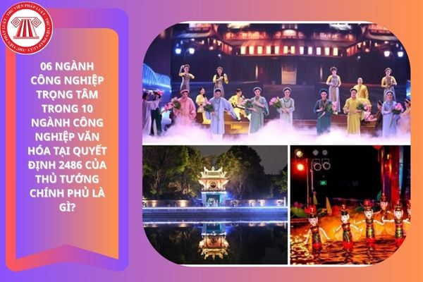 Pháp luật