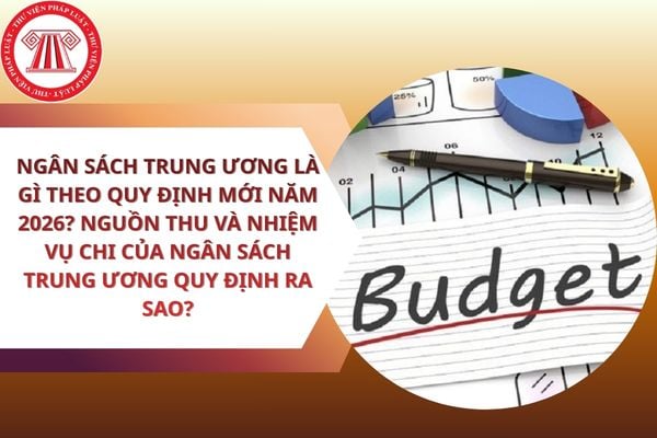Pháp luật