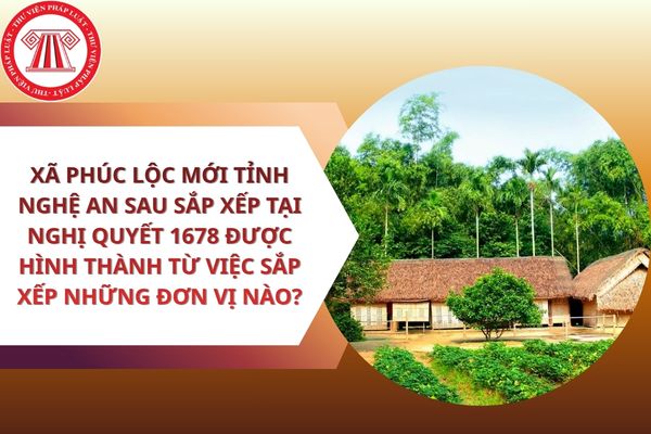Pháp luật