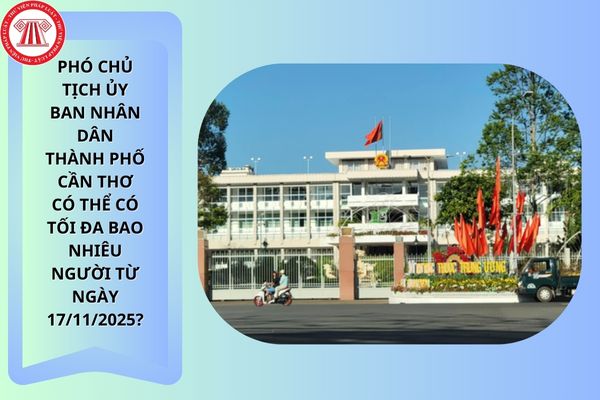 Pháp luật