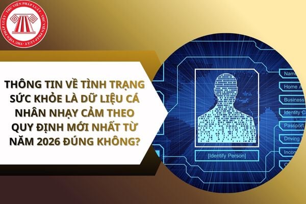Pháp luật