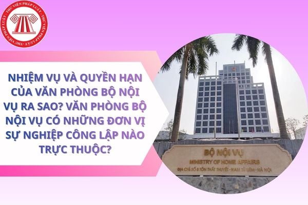 Pháp luật
