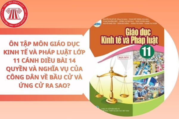 Pháp luật