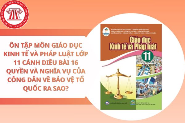 Pháp luật