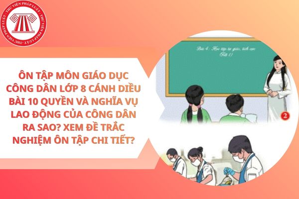 Pháp luật