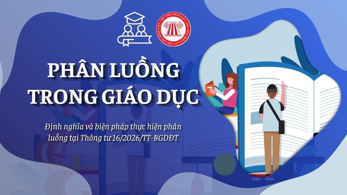 Pháp luật