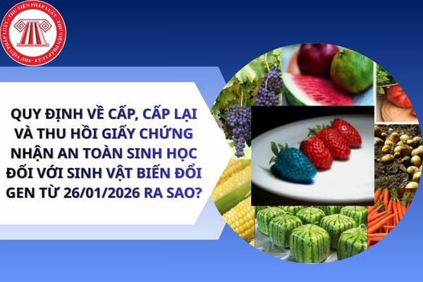 Quy định về cấp, cấp lại và thu hồi giấy chứng nhận an toàn sinh học đối với sinh vật biến đổi gen từ 26/01/2026 ra sao?