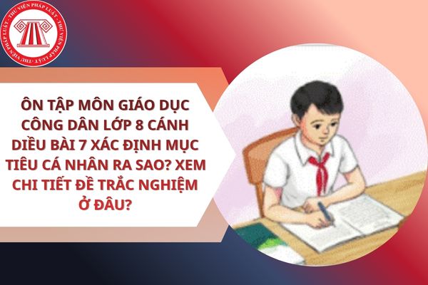 Pháp luật