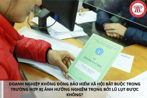 Pháp luật