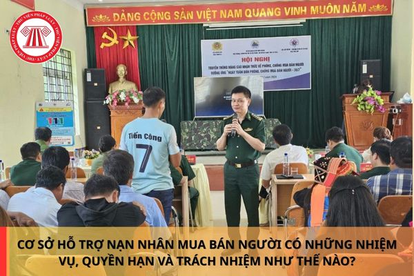 Pháp luật