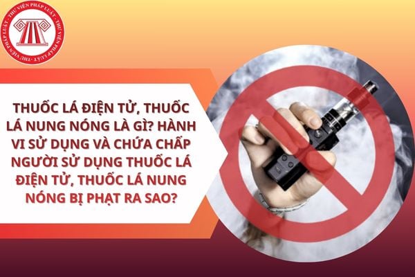 Pháp luật