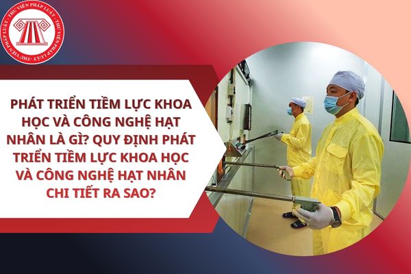Pháp luật