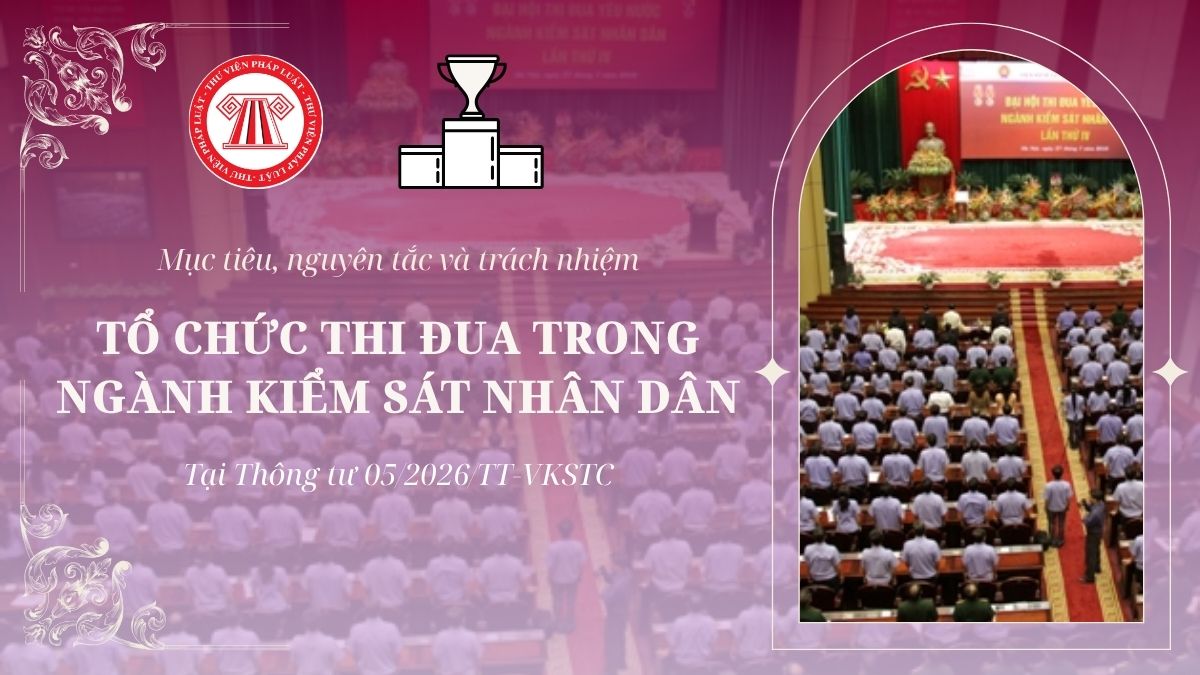 Pháp luật