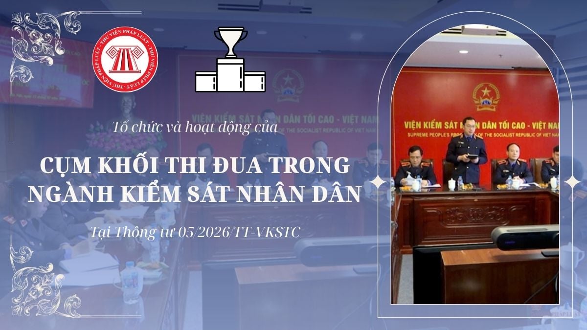 Pháp luật