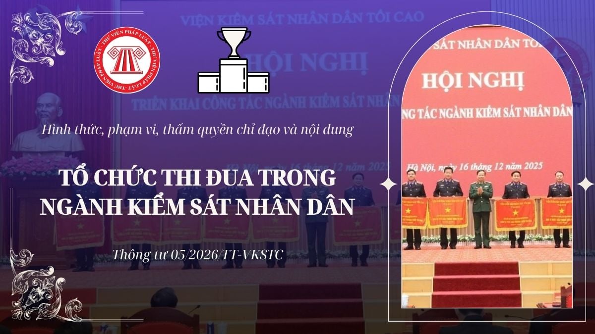 Pháp luật