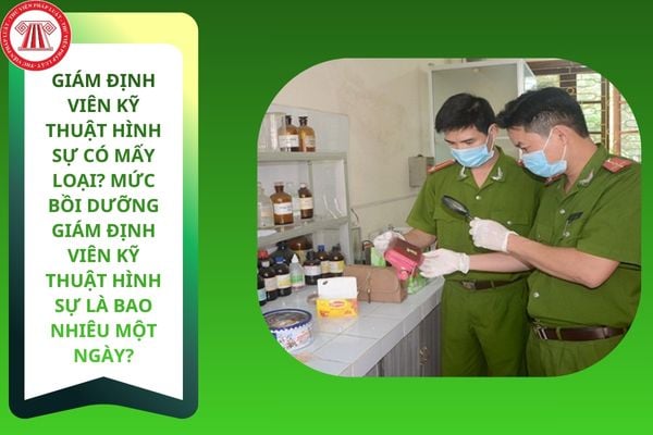 Pháp luật