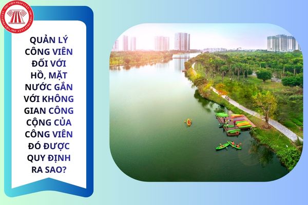 Pháp luật