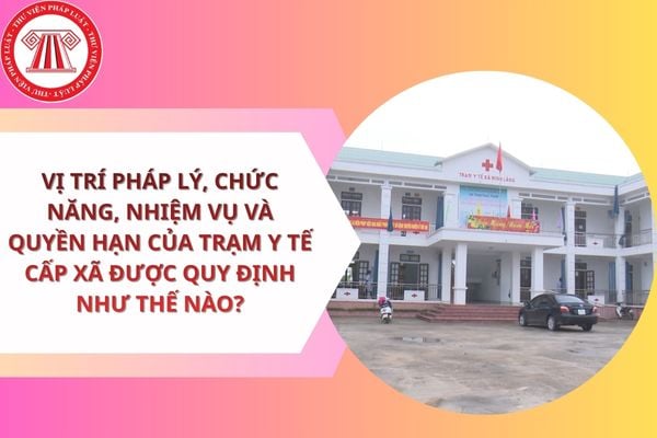 Pháp luật