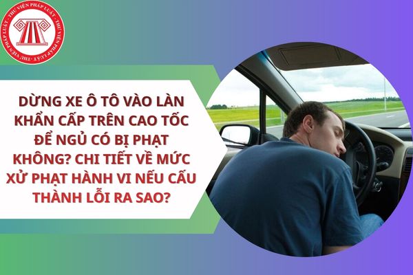 Pháp luật