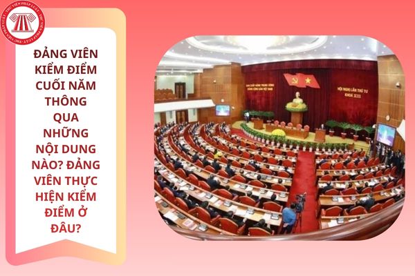Pháp luật