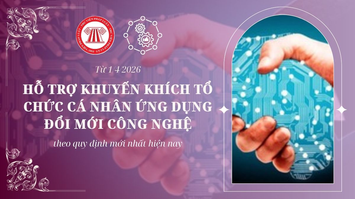 Pháp luật
