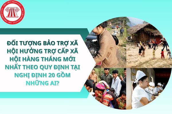 Pháp luật