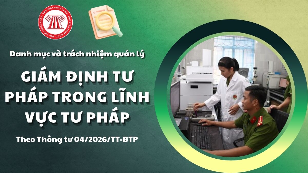Pháp luật