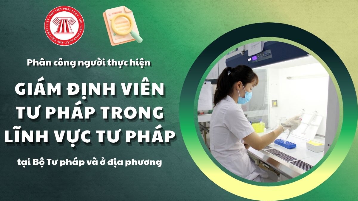 Pháp luật