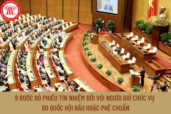 quốc hội bầu