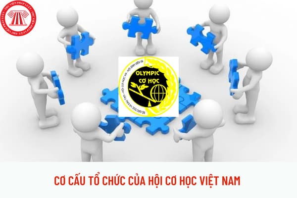 cơ cấu tổ chức