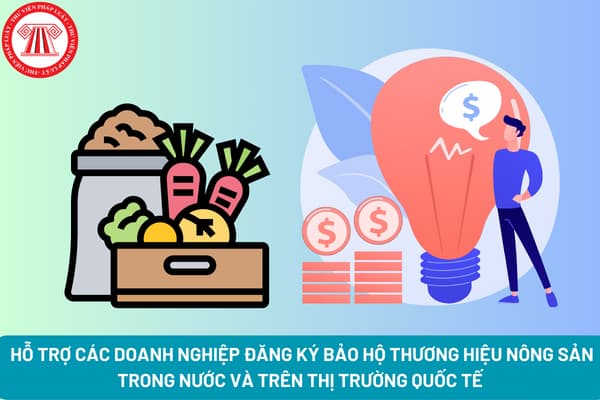 hỗ trợ doanh nghiệp