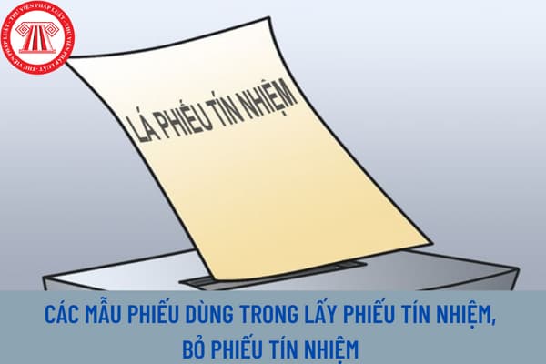 phiếu