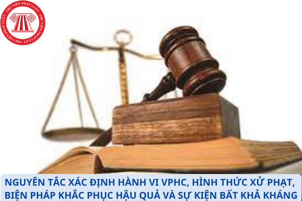 nguyên tắc xác định vphc