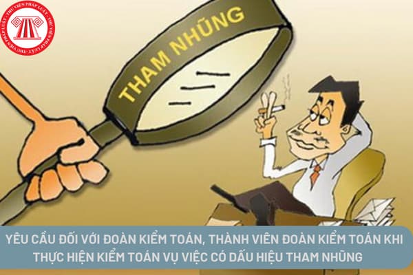 yêu cầu đối với đoàn kiểm toán