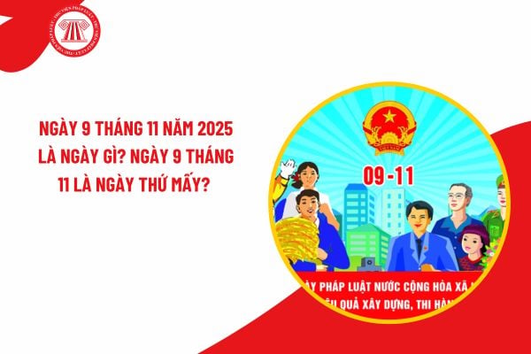 Pháp luật