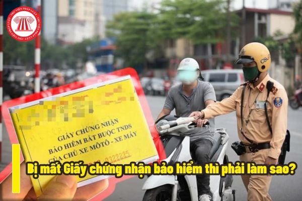 Chủ xe cơ giới bị mất Giấy chứng nhận bảo hiểm dân sự thì phải làm sao? Trên Giấy chứng nhận bảo hiểm bắt buộc trách nhiệm dân sự của chủ xe cơ giới có ghi biển số xe hay không?